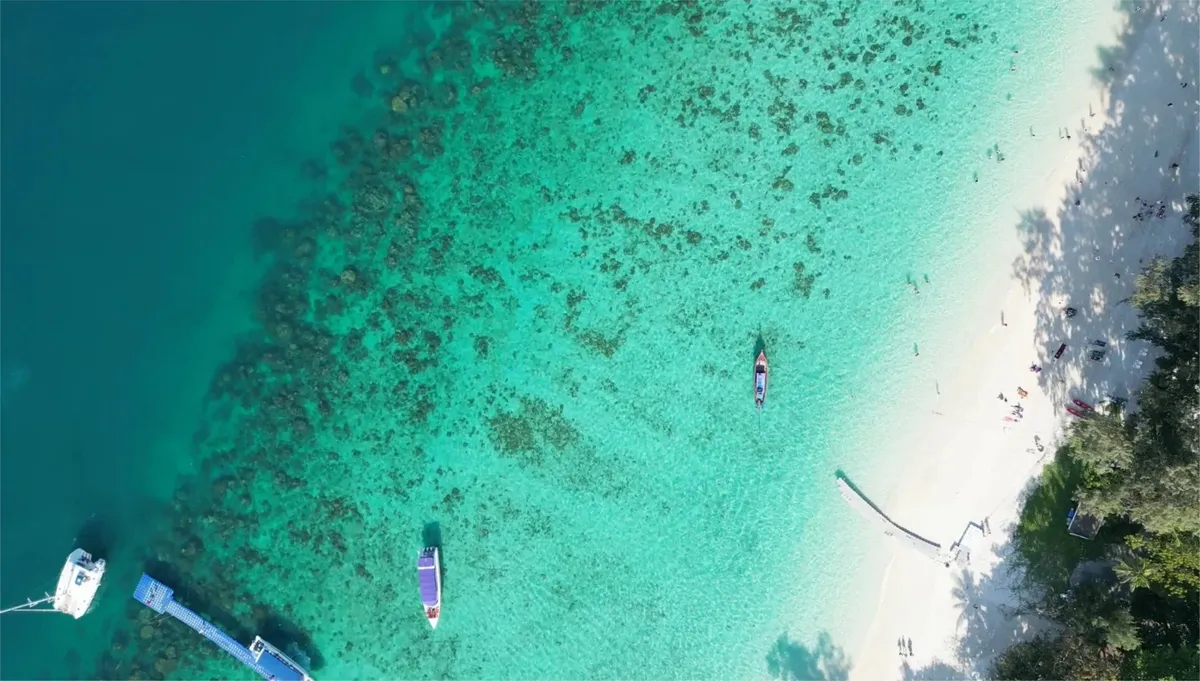 Шоу, парки и концерты